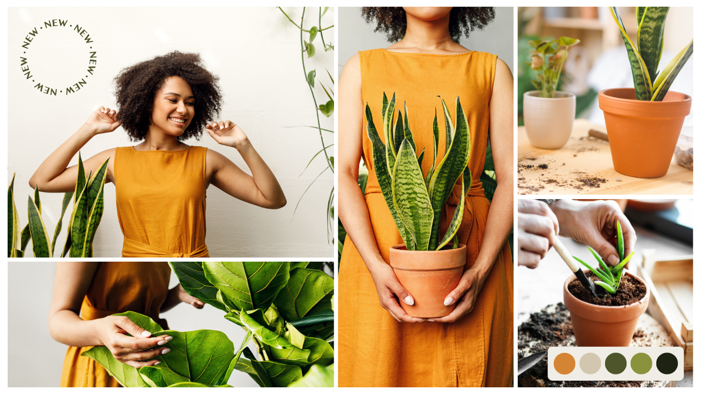What Makes a High-Converting Product Page? Use strong visuals