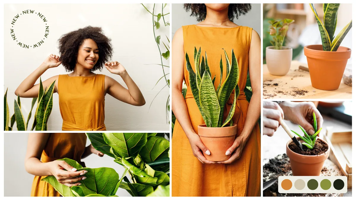 What Makes a High-Converting Product Page? Use strong visuals What Makes a High-Converting Product Page? Use strong visuals